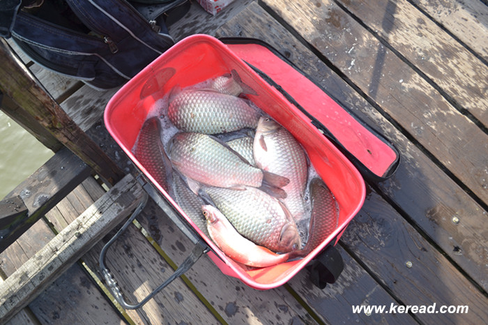 釣魚戰果